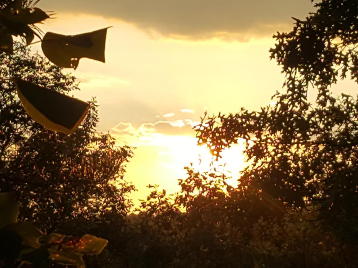 Sunset Ridge Cabin بيدجن فورج المظهر الخارجي الصورة